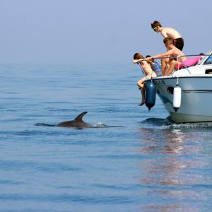 avistamiento-de-delfines