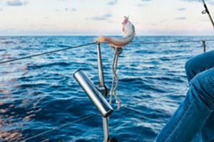 fishing-charter-benalamdena